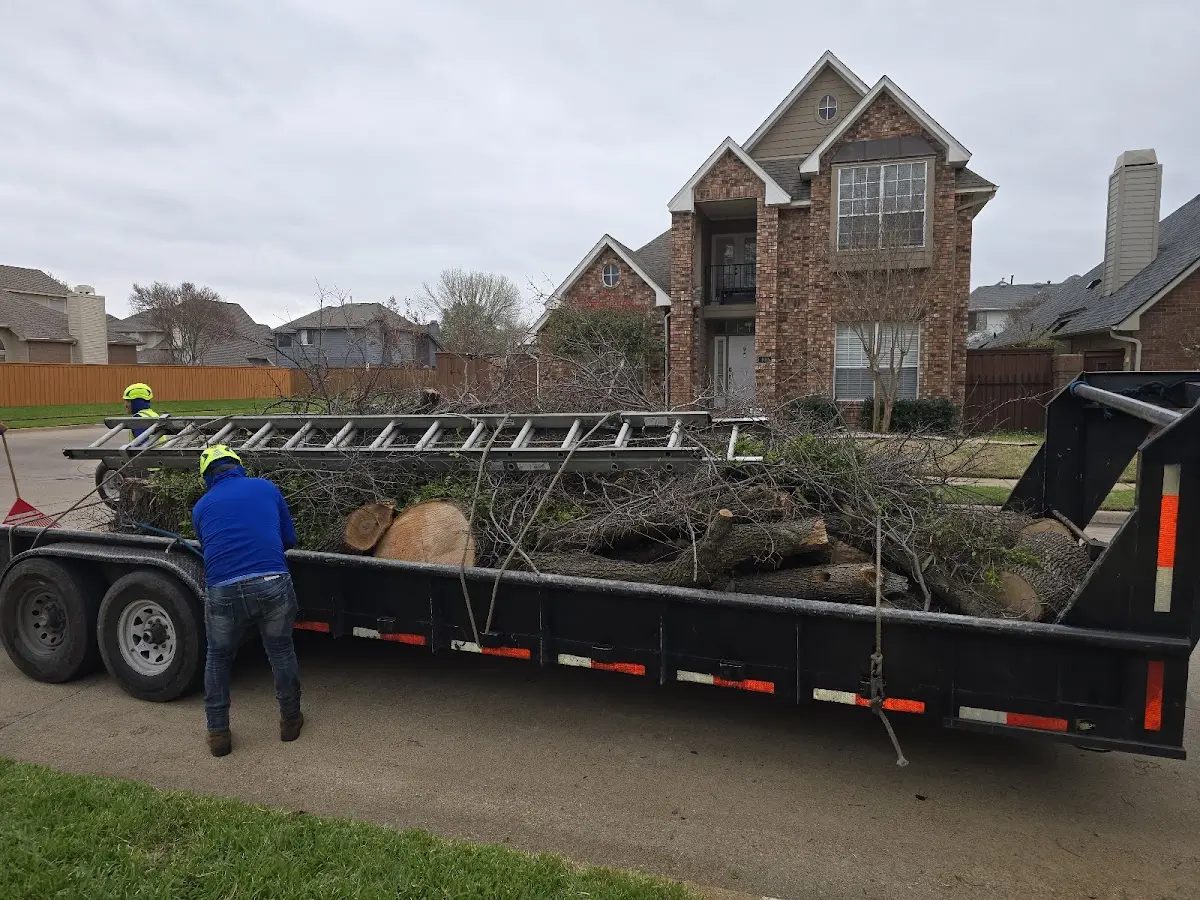 Expert Tree Fertilization with proper safety equipment in Slade